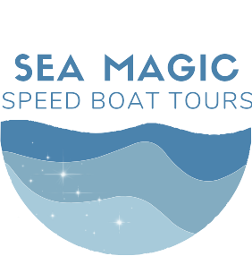 sea-magic-logo